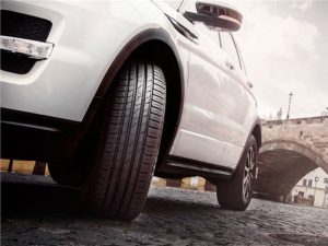 gomme-estive